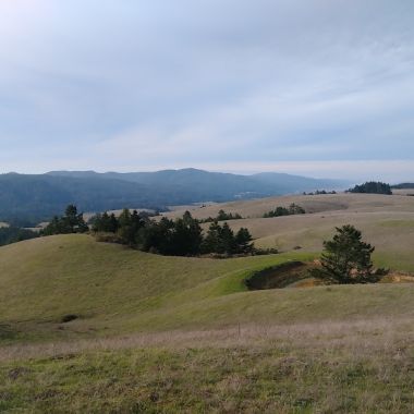 Bolinas Ridge Trailhead photo