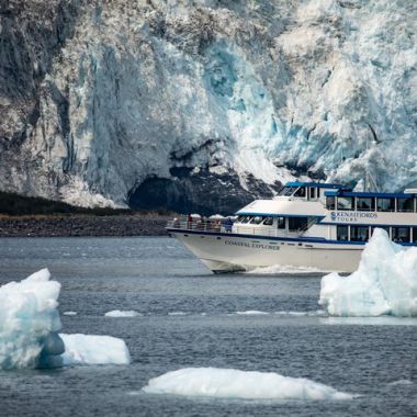 Kenai Fjords Tours photo