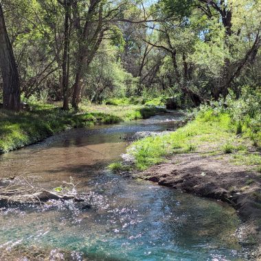 Sonoita Creek State Natural Area photo