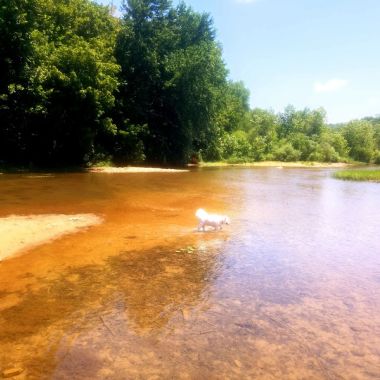 Cherokee Village, Arkansas photo