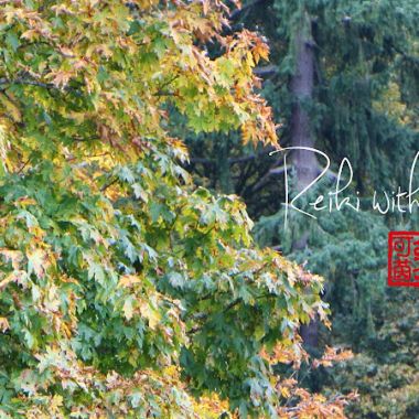 Reiki with Jaclyn photo