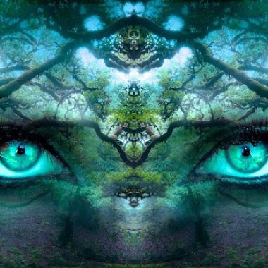 Time to Awaken - Numerology by Ellie photo