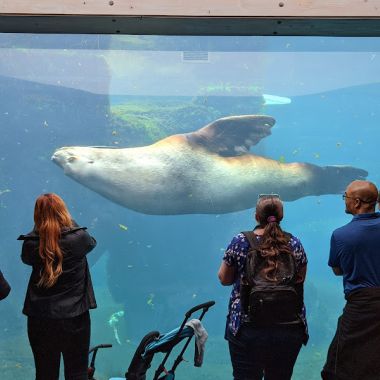 Alaska SeaLife Center photo