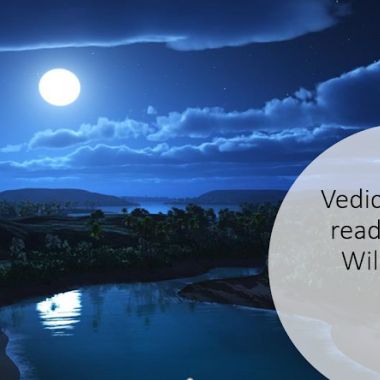 Vedic Astrology Readings and Remedies with Dr. Willa Keizer photo