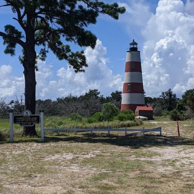 Sapelo Island photo