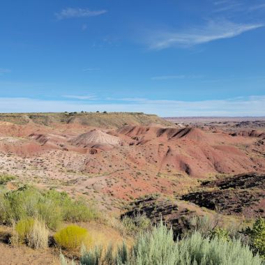 Petrified Forest National Park photo