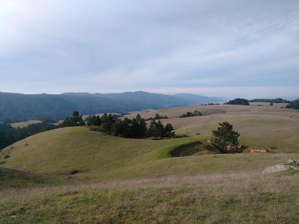 Bolinas Ridge Trailhead photo