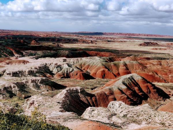 Petrified Forest National Park photo