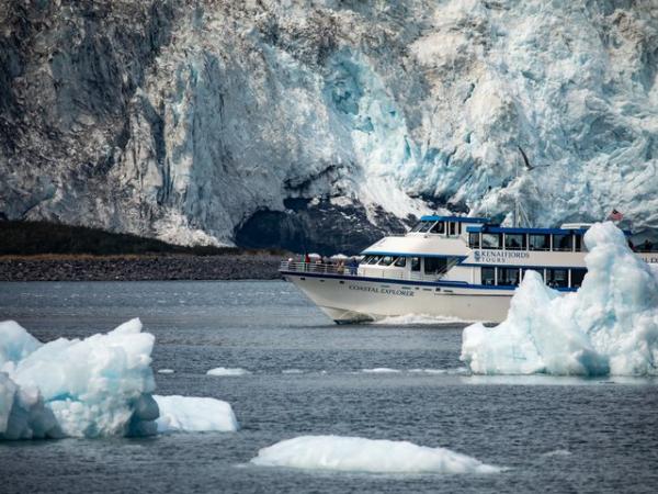 Kenai Fjords Tours photo