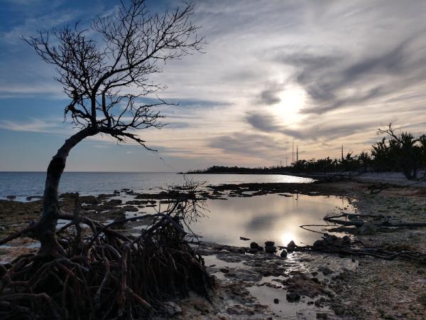 Big Pine Key photo