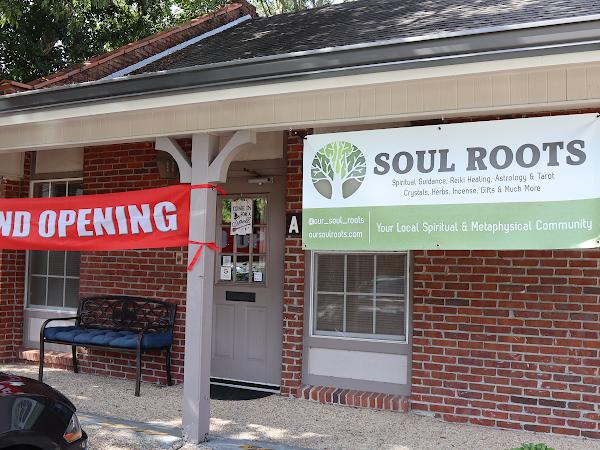 Soul Roots photo