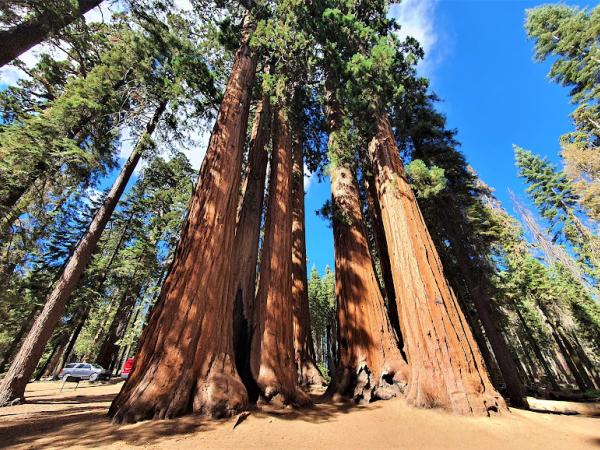 Sequoia & Kings Canyon National Parks photo