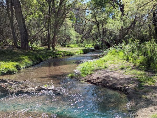 Sonoita Creek State Natural Area photo