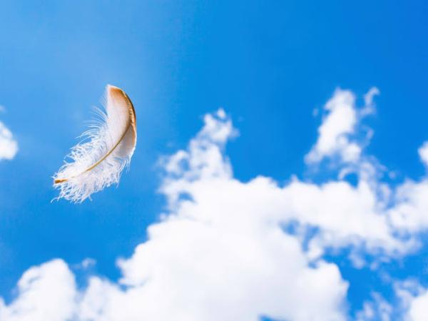 I AM OneSky with Angel Guidance • E.S. Healers photo