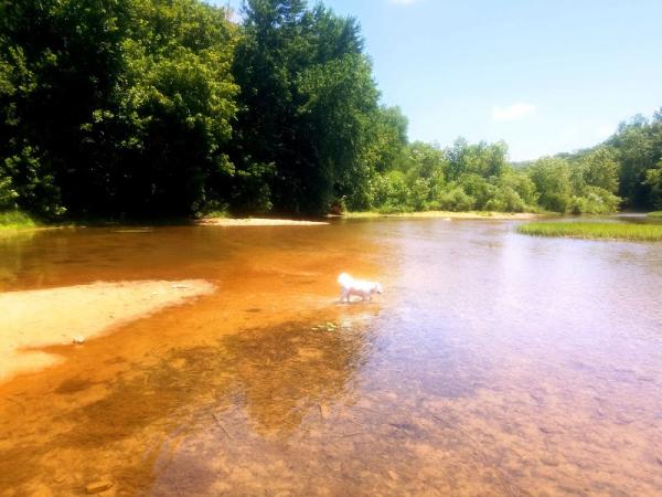 Cherokee Village, Arkansas photo