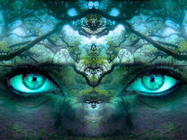 Time to Awaken - Numerology by Ellie photo