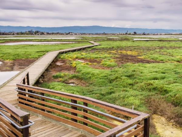 Alviso photo