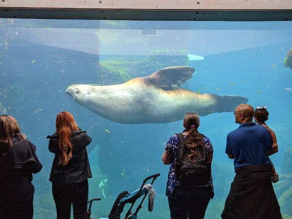 Alaska SeaLife Center photo