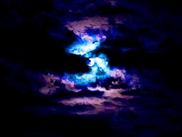 Moonlight Mystic photo