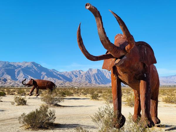 Borrego Springs photo