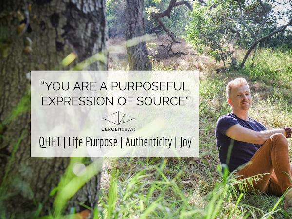 Source Energy Therapy - QHHT photo