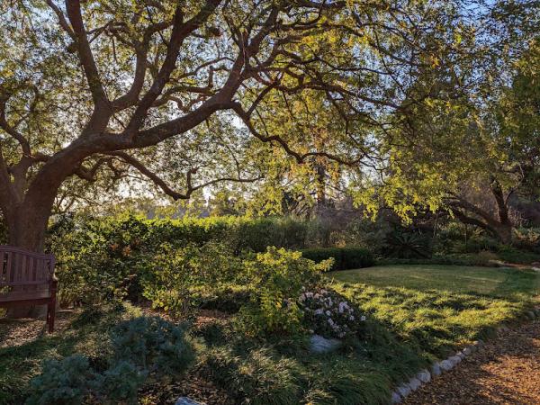 Self-Realization Fellowship International Headquarters photo