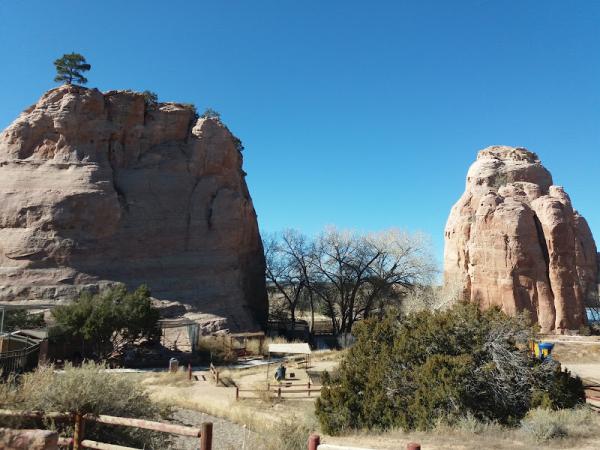 Navajo Nation Zoo (Diné Bikéyah binaaldeehii dóó chʼil danílʼínídi) photo