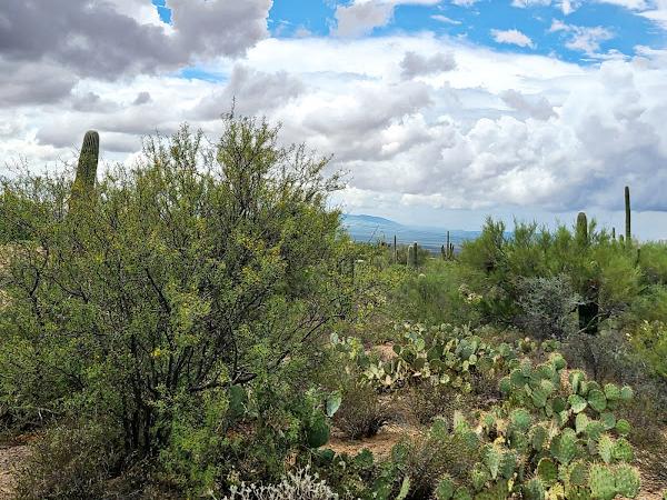 Arivaca photo