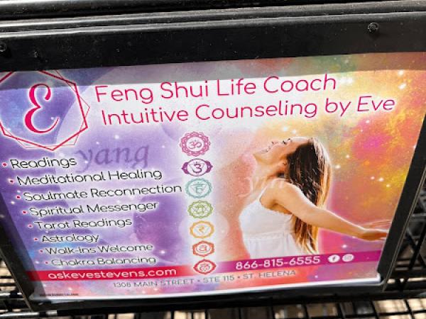 Feng shui LifeCoach&psychic photo