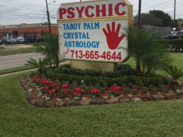 Psychic Elaine Palmer photo