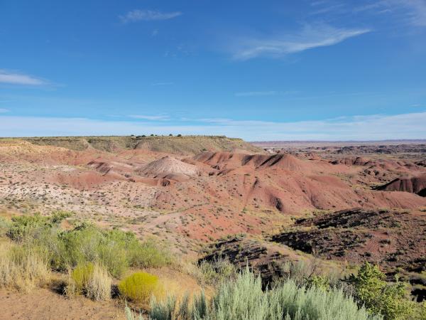 Petrified Forest National Park photo