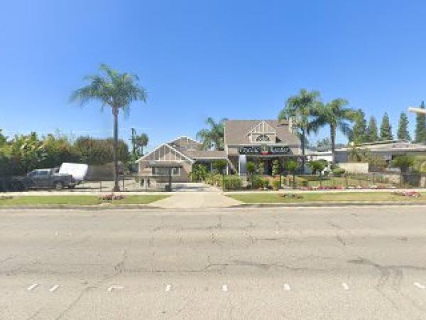 Psychic Fortune Teller & Wellness Center photo