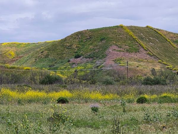 Marine Corps Base Camp Pendleton photo