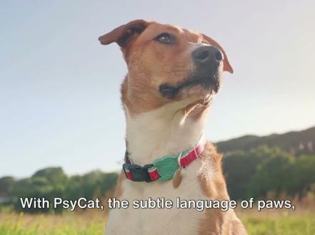 Guide to Pet Psychics and Animal Communication photo