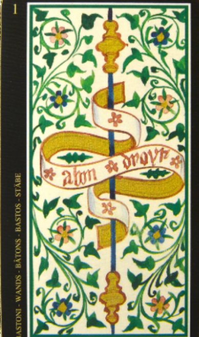 Ace of Wands tarot card from the Visconti-Sforza Tarot Cards