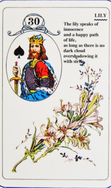 Lily lenormand card from the Lenormand Card Deck