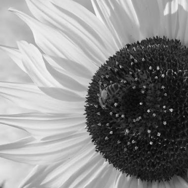 Intuitive Touch Massage Therapy of Windsor LLC photo