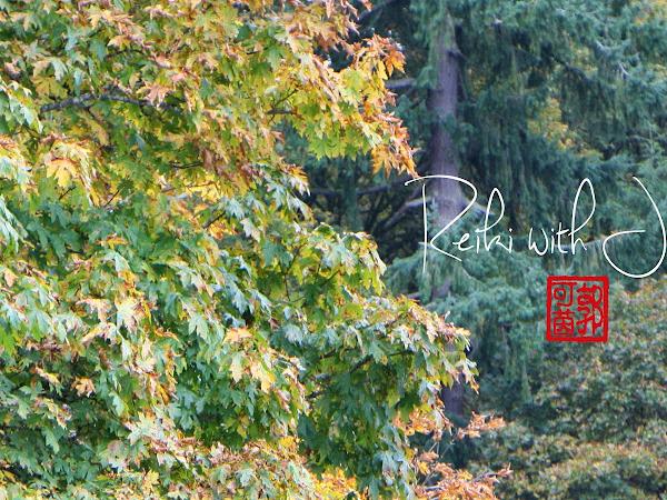 Reiki with Jaclyn photo