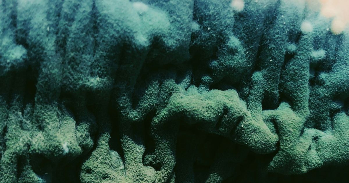 What Is My Number In Numerology What Is My Number In Numerology